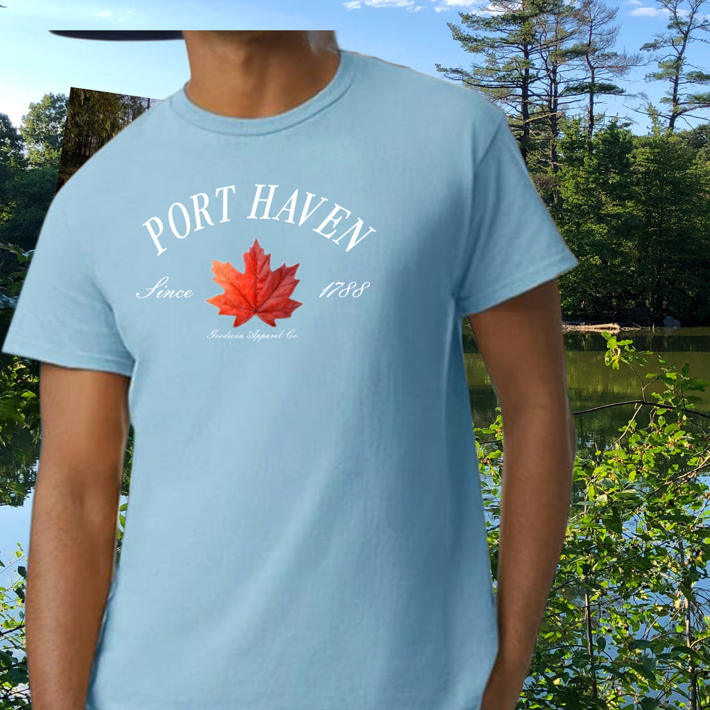 The Way Home - Port Haven
